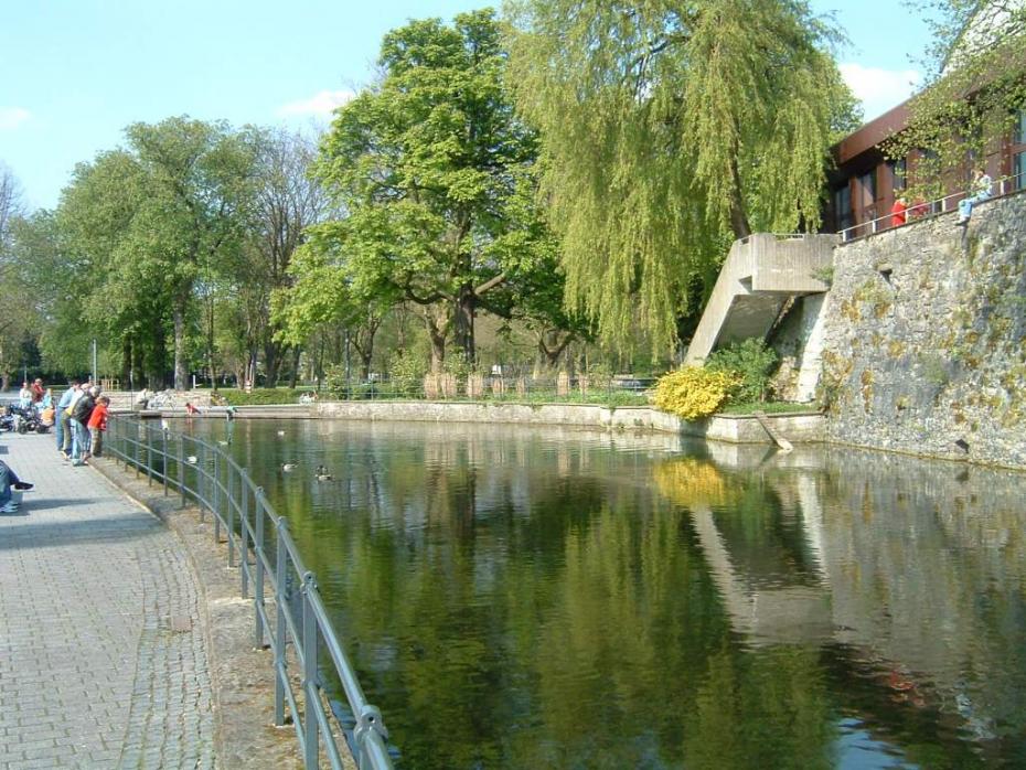 Ein Foto von der Lippequelle, wo ein Fluss zu sehen und daneben Bäume, die an ihm entlanglaufen.