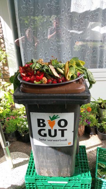 Ein Foto von einer Bioanfalltonne.